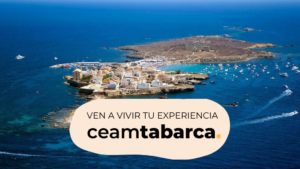 Vive una experiencia de turismo sostenible en Tabarca con actividades de educación ambiental para grupos, escuelas y familias. A 30 min de Alicante.