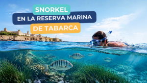 Snorkel en Tabarca